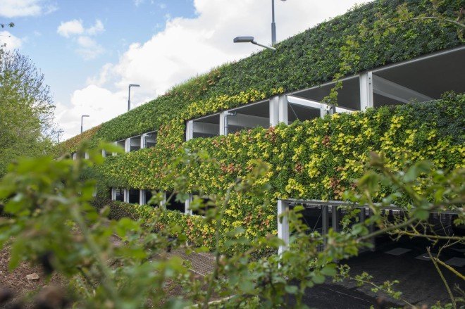 National Grid, National Grid House, Warwick, UK, Europe's largest living wall, One World Design, vertical garden, living wall, pollinators, birds, bees, green design, sustainable design, eco-design, LED lights, birds, bees,