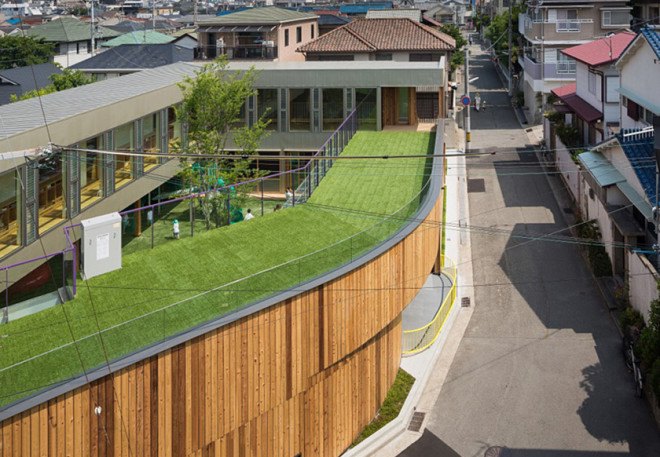 Suga Architects Office, green roof, kindergarten, nursery, kids pplay area, playground, rooftop garden, vegetable garden, green roof, timber facade, cedar facade, cedar siding, courtyard