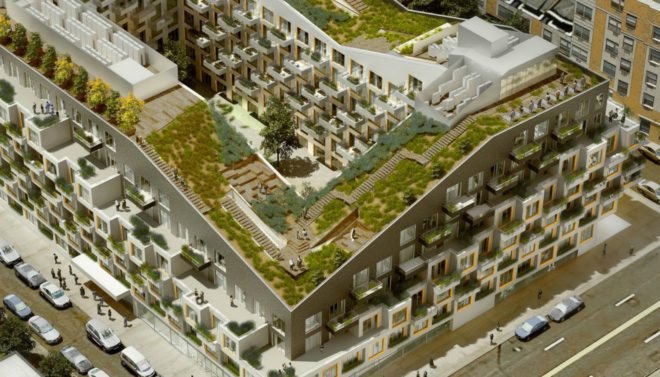 ODA Architecture, 10 Monieth street, green roofs, architecture, brooklyn design, brooklyn architecture, urban design, landscape design, bushwick design, bushwick apartments, green roof nyc, nyc green space,
