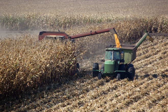 california drought, water usage, water restrictions, water rationing, agriculture, farmers, california farmers, california water restrictions, california water rights, statewide water restrictions, reaction to drought, drought remedy, combating the drought, california sinking, california water supply