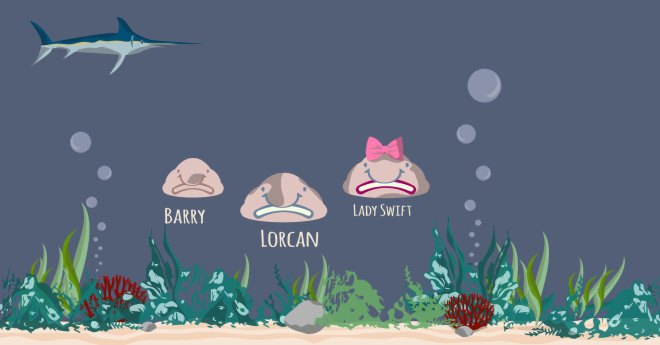 endangered species, deep sea animals, blobfish, London, cat cafes, ugly animals, Ugly Animal Preservation Society
