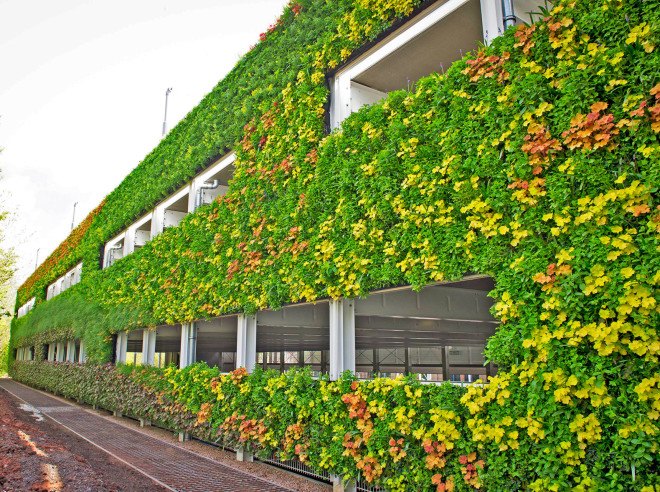 National Grid, National Grid House, Warwick, UK, Europe's largest living wall, One World Design, vertical garden, living wall, pollinators, birds, bees, green design, sustainable design, eco-design, LED lights, birds, bees,