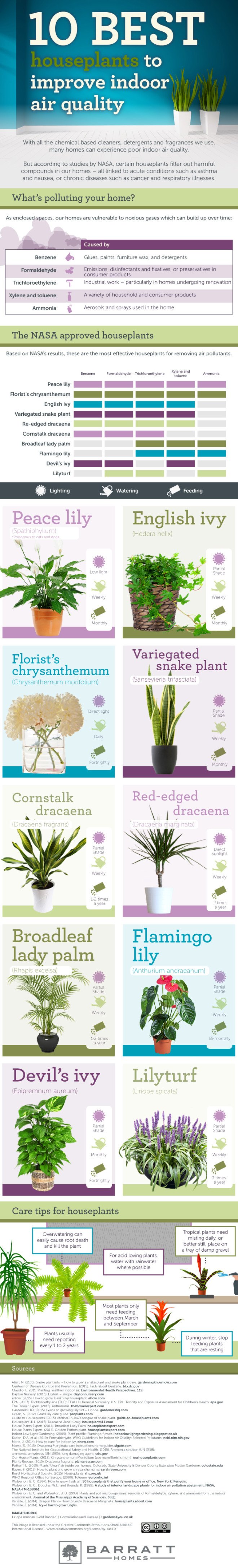 air quality, indoor air quality, houseplants air quality, air filters, air filtering, air filtering houseplants, pollution, indoor air pollution, filtering indoor air pollution, best plants for air quality