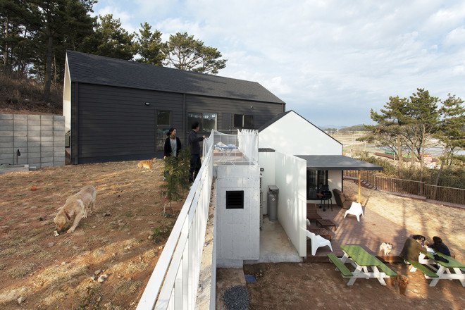 Bow-wow House, Bow-wow house by Design Band YOAP, Design Band YOAP, dog friendly house, dog friendly guesthouse, bow wow house south korea, south korea, south korea architecture, timber framed architecture, timber framed house, asphalt shingles, cement siding panels, dog guesthouse,