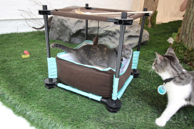 purina one, purina one cat camp, cat camp, cat camp nyc, cat cafe, cat cafe nyc, purine one, purine one cat camp, cats nyc, cute cats, openhouse nyc, nyc cat camp