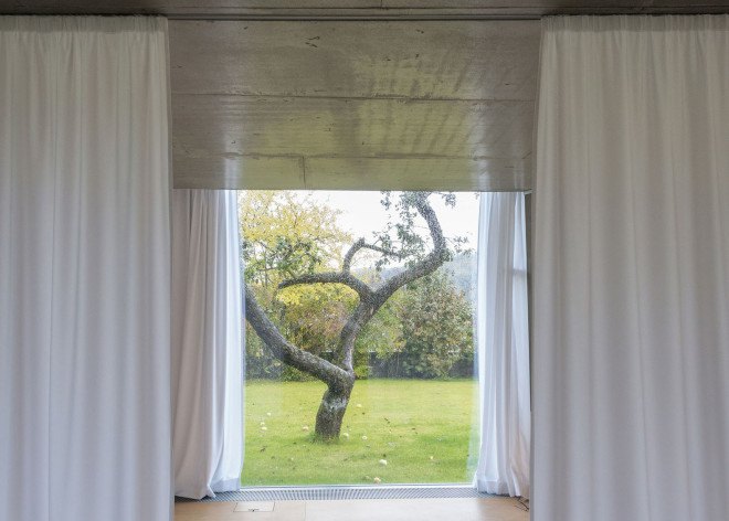 Petr Hajek Architekti, single-family home, chameleon house, natural surroundings, garden house, Prague, green architecture, biomimetic architecture, chameleons, tree species, minimalist interior