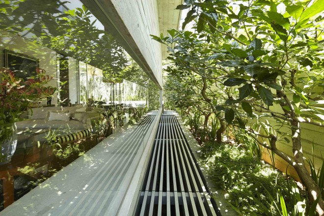 Chiltern House, Chiltern Drive, Singapore, WOW Architects | Warner Wong Design, concrete, raw timber, swimming pool, family house, green architecture, sustainable building
