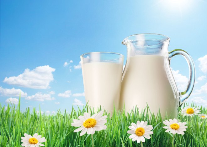 clover milk recall, dairy recall, clover stornetta farms, petaluma milk recall, milk products recall, milk containing plastic, Clover Stornetta, California milk recall