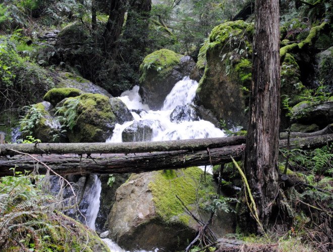 Mt. Tam camping, summer camping trips, san francisco camping, car-free camping