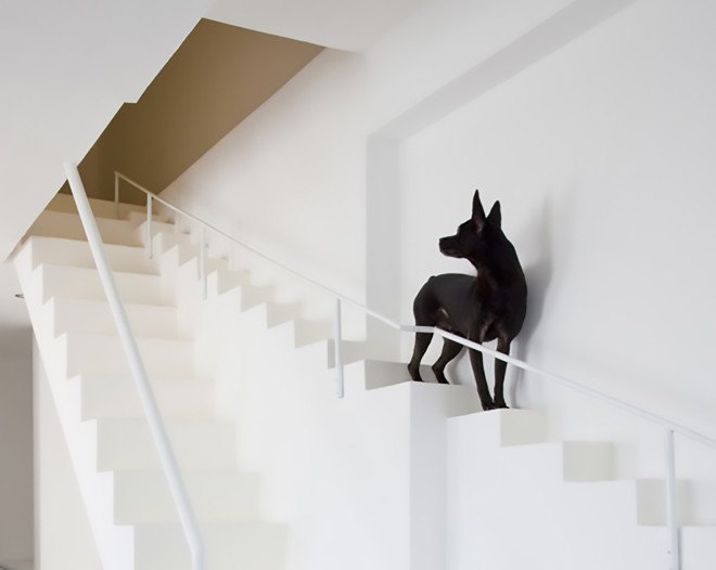 Joe Chikamori, 07Beach, Ho Chi Minh, dog staircase, dog stairs, dog-friendly design, dog-friendly house, house renovation, dog-friendly stairs,