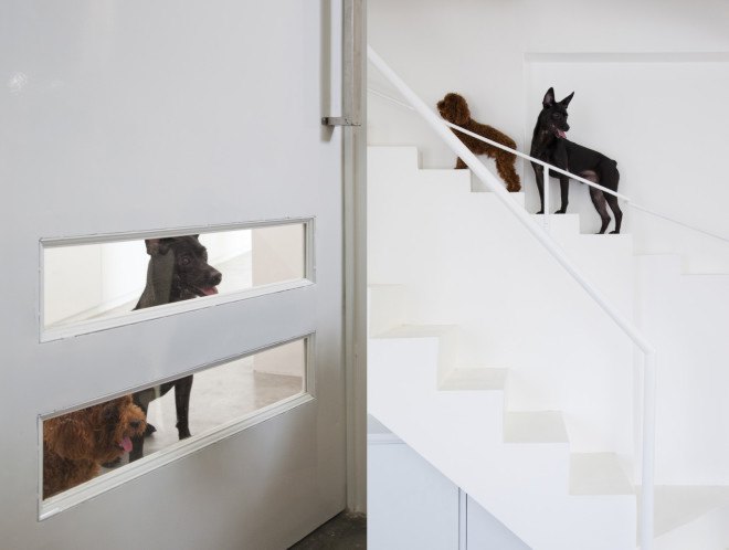 Joe Chikamori, 07Beach, Ho Chi Minh, dog staircase, dog stairs, dog-friendly design, dog-friendly house, house renovation, dog-friendly stairs,