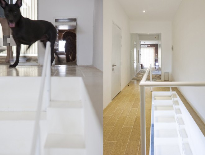 Joe Chikamori, 07Beach, Ho Chi Minh, dog staircase, dog stairs, dog-friendly design, dog-friendly house, house renovation, dog-friendly stairs,