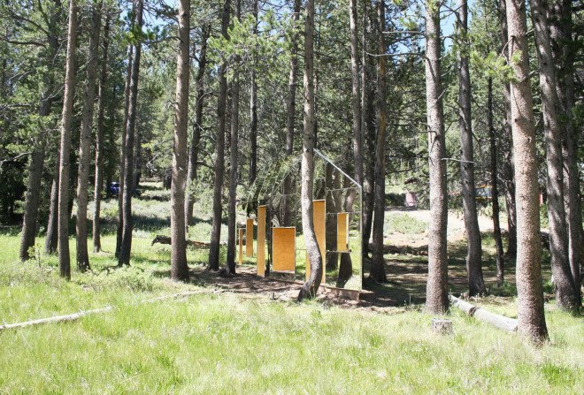stpmj, Invisible Barn, architectural folly, mirror facade, facade design, green architecture, invisible architecture, invisible building, built-in furniture, wooden structure, bird-friendly facade, New York, art installation, green design