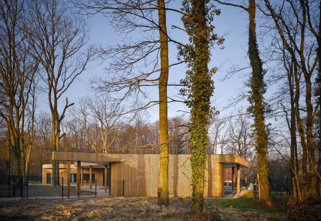 Briis-sous-Forges, MU Architecture, Archicop, Grégoire Dubreux, green roof, larch, timber clad, timber clad architecture, primary school, nature inspired architecture, green roof, battens of wood,