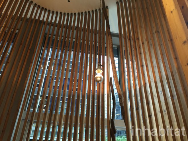 Architecture, Interior Design, TreeHaus, New York City, Manhattan