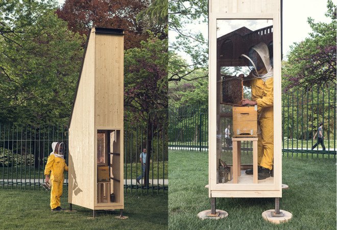 Francesco Faccin, urban beekeeping, honey factory, beehives, milan expo 2015