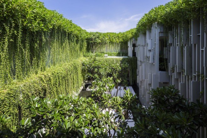 pure spa, vietnam, Danang, Pure Spa Danang, Naman Retreat, Pure Spa by MIA Design Studio, green wall, spa, oasis, green roof