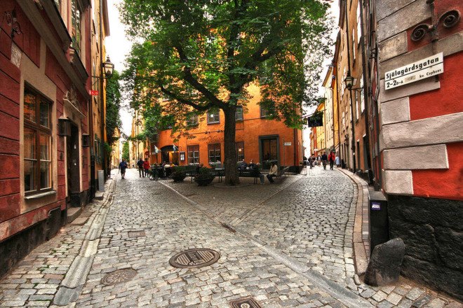 trees, planting more trees equal to $10000 a year, study, more street trees make people feel younger, street trees, urban design, green cities, green neighborhood, planting trees, Nature, open access, public health, well-being, health, greenspace, green space, urban green space