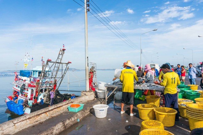 human trafficking, modern day slavery, human rights, humanitarian policy, thailand seafood industry, thailand fishing industry, thai seafood exports, Rohingya, Burma, fishing, seafood