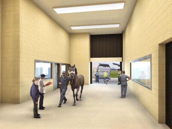 Cliff Bollman, Gensler, Ark, Ark animal terminal, animal terminal, luxury animal terminal, JFK, Paradise 4 Paws, Ark JFK, VetPort, Ark by Gensler, Ark terminal by Gensler, Cornell University veterinary college, dog suite, animal plane transport