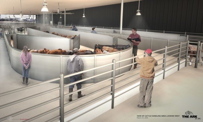 Cliff Bollman, Gensler, Ark, Ark animal terminal, animal terminal, luxury animal terminal, JFK, Paradise 4 Paws, Ark JFK, VetPort, Ark by Gensler, Ark terminal by Gensler, Cornell University veterinary college, dog suite, animal plane transport