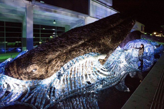 recycled bottles, recycled plastic bottles, recycled art, ocean conservation, oceans, reader submission, whale conservation, conservation, upcycled art