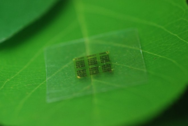 wood microchips, computer chips, biodegradable computer chips, gallium, electronics recycling, electronics waste, flexible electronics, environmentally friendly electronics