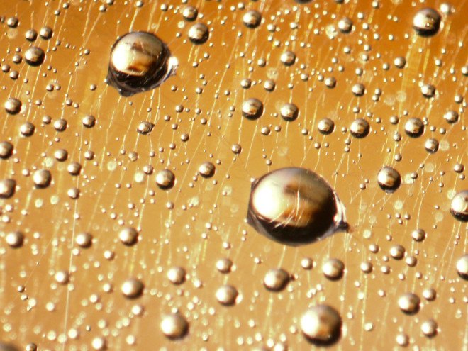 bubble greenhouse, greenhouse desalination, freshwater, saltwater, desalination technology, evaporating salt water, condensing water, water for plants, remote greenhouses, remote desalination