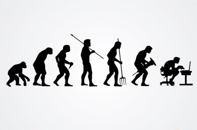 homo habilis, handy man, human evolution, homo erectus, new study on evolution, evolution of humans