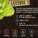 fall vegetables, fall harvest, planting for fall harvest, vegetables for fall harvest, gardening, fall gardening, fall vegetables, vegetables, grow your own, backyard gardening, vegetable gardening, food gardening, gardening tips, reader submission