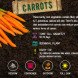 fall vegetables, fall harvest, planting for fall harvest, vegetables for fall harvest, gardening, fall gardening, fall vegetables, vegetables, grow your own, backyard gardening, vegetable gardening, food gardening, gardening tips, reader submission