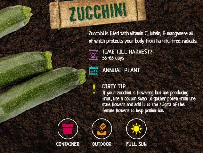 fall vegetables, fall harvest, planting for fall harvest, vegetables for fall harvest, gardening, fall gardening, fall vegetables, vegetables, grow your own, backyard gardening, vegetable gardening, food gardening, gardening tips, reader submission