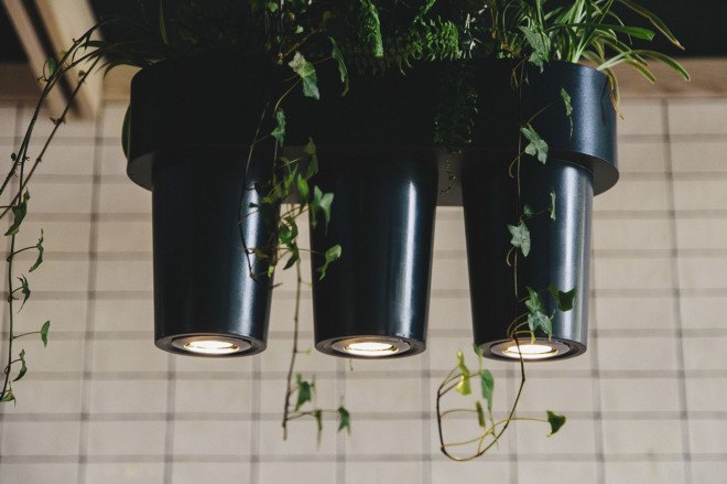 YØDEZEEN, bakery, interior design, green interior, green lighting, Roderick Vos, furniture design, hanging planters, hanging plants, wooden interior, green design