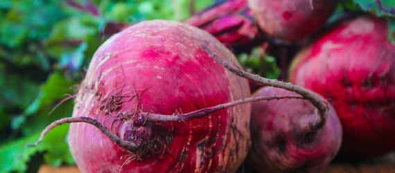 fall vegetables, fall harvest, planting for fall harvest, vegetables for fall harvest, gardening, fall gardening, fall vegetables, vegetables, grow your own, backyard gardening, vegetable gardening, food gardening, gardening tips, reader submission