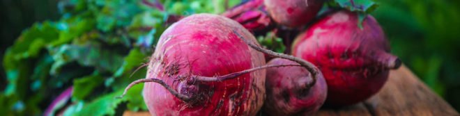 fall vegetables, fall harvest, planting for fall harvest, vegetables for fall harvest, gardening, fall gardening, fall vegetables, vegetables, grow your own, backyard gardening, vegetable gardening, food gardening, gardening tips, reader submission