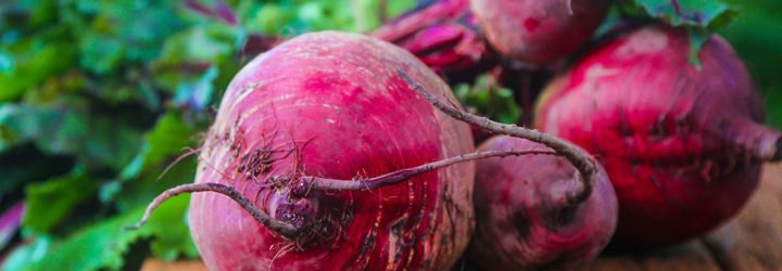 fall vegetables, fall harvest, planting for fall harvest, vegetables for fall harvest, gardening, fall gardening, fall vegetables, vegetables, grow your own, backyard gardening, vegetable gardening, food gardening, gardening tips, reader submission
