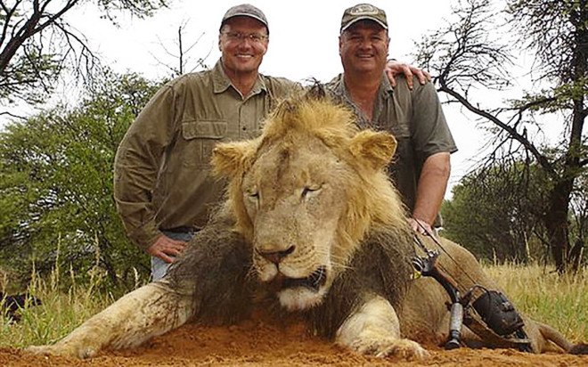 cecil the lion, walter palmer, trophy hunting, big game hunting, illegal hunting, zimbabwe hunting,