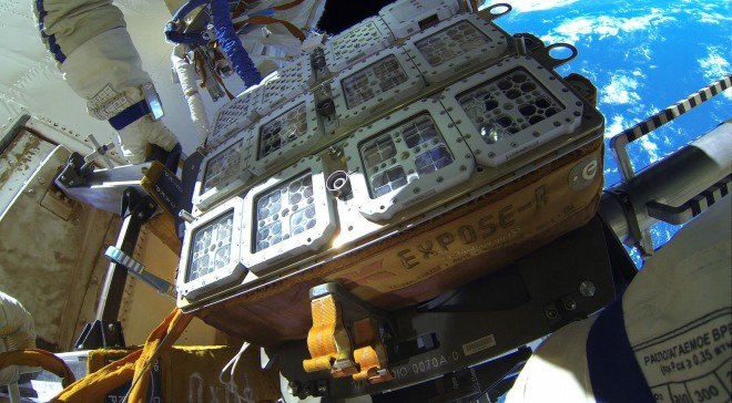 space kombucha, kombucha in space, esa, european space agency, international space station, expose space studies, scoby, cellulose biofilm, space technology