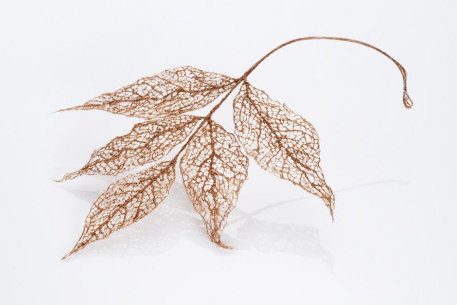 Jenine Shereos, Boston artist, knitted hair, leaf shape sculpture, ephemeral sculpture, leaf skeleton