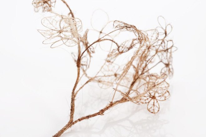 Jenine Shereos, Boston artist, knitted hair, leaf shape sculpture, ephemeral sculpture, leaf skeleton