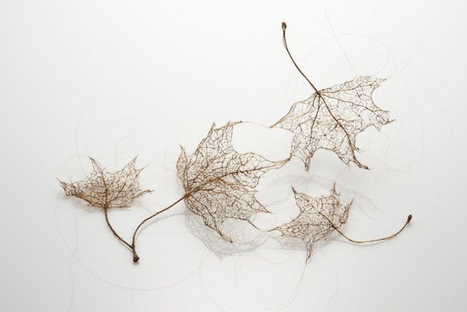 Jenine Shereos, Boston artist, knitted hair, leaf shape sculpture, ephemeral sculpture, leaf skeleton
