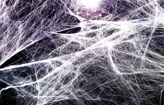 spiderwebs, spiders, spiderwebs Texas, spiders Texas, massive spiderwebs, spiderwebs, communal spiderwebs,
