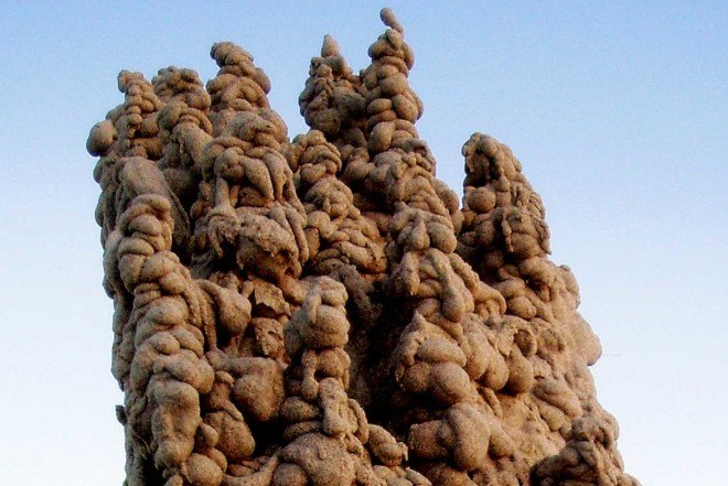 Matt Kaliner, dripping technique, sand castles, Harvard University lecturer, Neo-Gothic, dripping sand castles, wooden structure, Gaudí-inspired