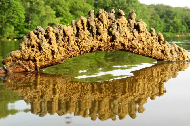 Matt Kaliner, dripping technique, sand castles, Harvard University lecturer, Neo-Gothic, dripping sand castles, wooden structure, Gaudí-inspired