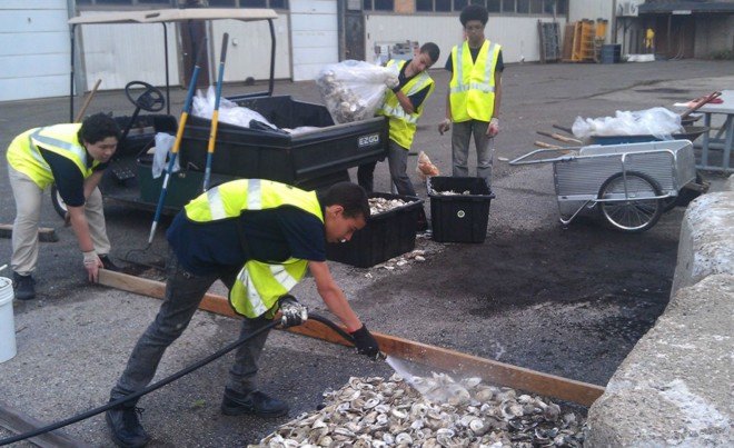 Billion Oyster Project, billion oyster project, New York Harbor school, governors island, new york harbor, maritime careers, oyster-tecture,polluted waterways, youth water programs nyc, sustainability, water pollution, shellfish population nyc, water filtration, oyster park, artificial reef, mollusks, landscape architecture, maritime design,