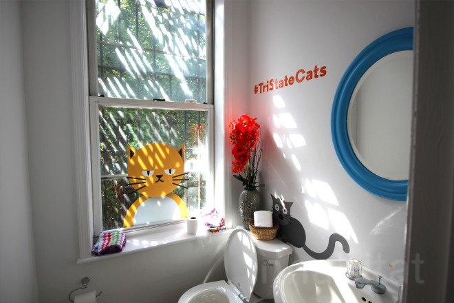 cat cafe, cat cafe new jersey, cat cafe nj, North Shore Animal League America, North Shore Animal League, adopt a cat, optimum, optimum cat cafe