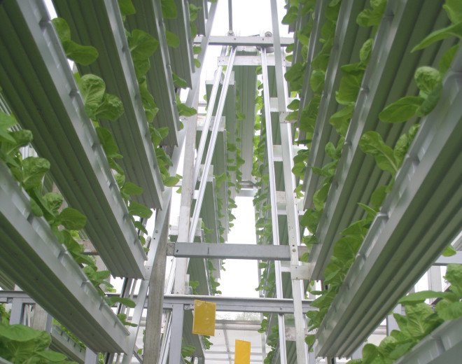 Sky Greens, hydroponic farming, Design for Health, Design to Improve Life, eco design, green design, humanitarian design, index award winners, index: award, Sustainability, Sustainable Design, world’s biggest design prize, index awards