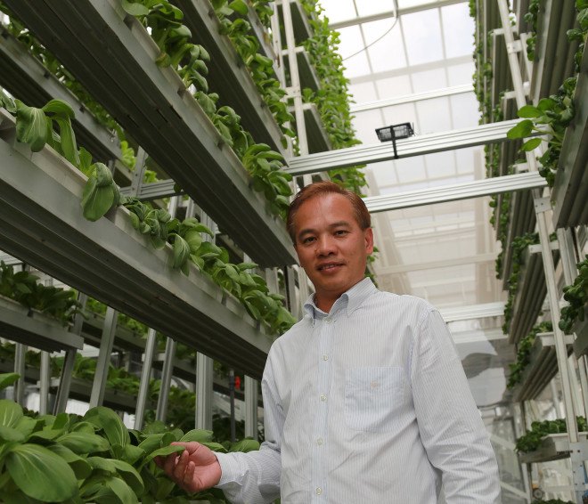 Sky Greens, hydroponic farming, , Design for Health, Design to Improve Life, eco design, green design, humanitarian design, index award winners, index: award, Sustainability, Sustainable Design, world’s biggest design prize, index awards