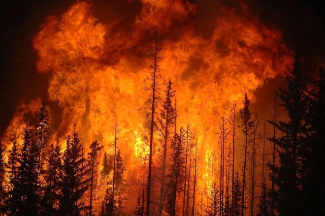 fires, wildfires, forest fires, government, funding, fire fighters, environment, climate change, forests, National Forest Service, drought, water shortage
