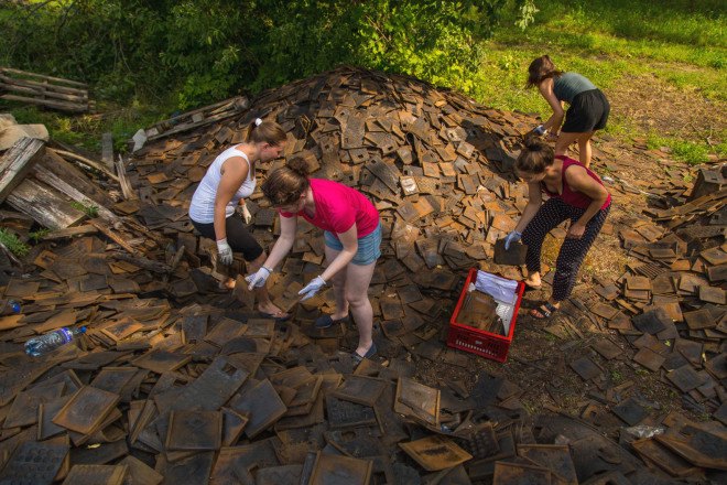 Wild Thing, Riga Technical University, Riga Technical University International Summer School, architecture, student projects, treehouse, rewilding, tiny cabins, bird hide, revegetation, Latvia, recycled building materials, wood, wooden structures, Wild Thing cabin in Latvian meadow,